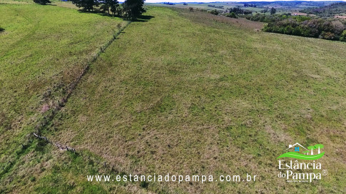 VAI ATE MANGUEIRA OVELHAS.00_02_42_09.Quadro032_9dac1db4ad63cff9760888366e6609e2b26725b1.jpg